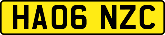HA06NZC