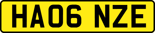 HA06NZE