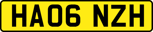 HA06NZH