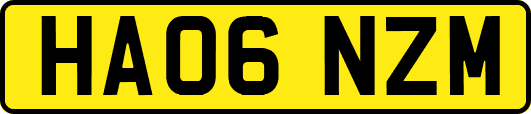 HA06NZM