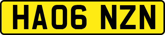 HA06NZN