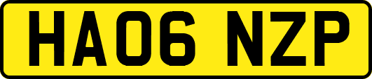 HA06NZP