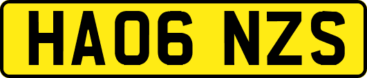 HA06NZS