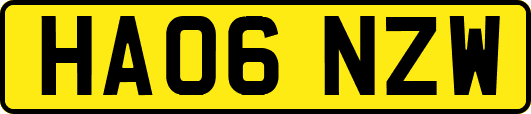 HA06NZW