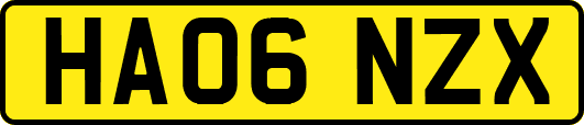 HA06NZX
