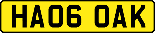 HA06OAK