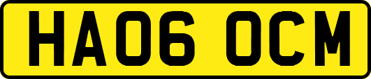 HA06OCM