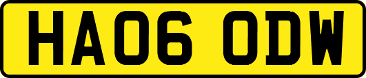 HA06ODW