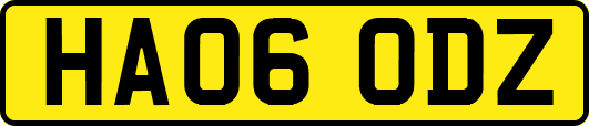 HA06ODZ