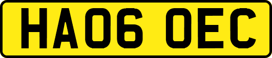 HA06OEC