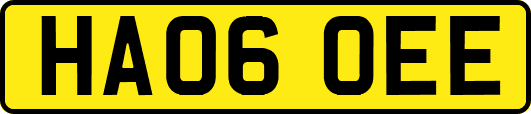 HA06OEE