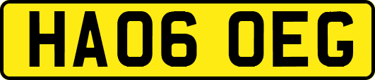 HA06OEG