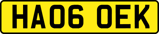 HA06OEK