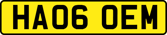 HA06OEM