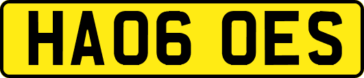 HA06OES