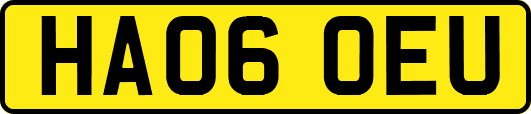 HA06OEU