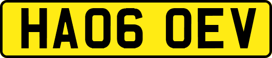 HA06OEV