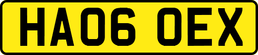HA06OEX
