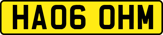 HA06OHM