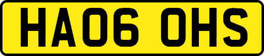 HA06OHS