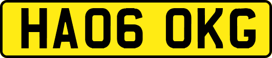 HA06OKG