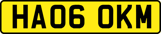 HA06OKM