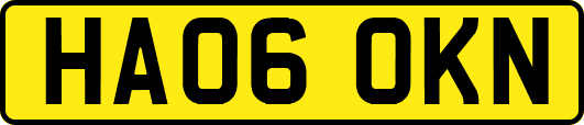 HA06OKN
