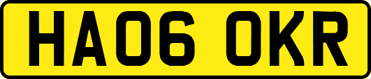 HA06OKR