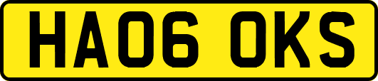 HA06OKS