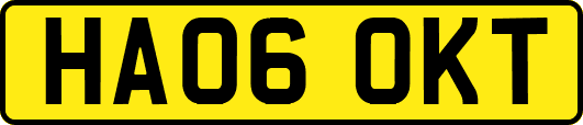 HA06OKT