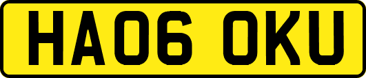 HA06OKU