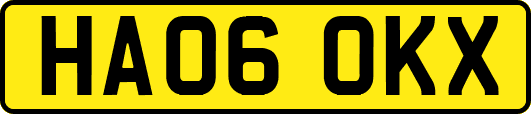 HA06OKX