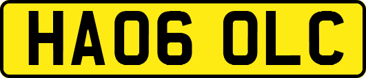 HA06OLC