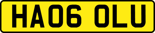 HA06OLU