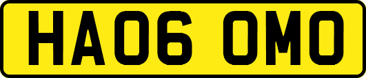 HA06OMO