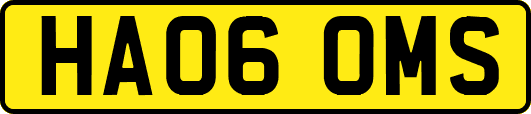 HA06OMS