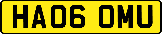 HA06OMU