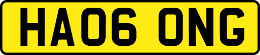 HA06ONG