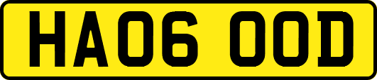 HA06OOD