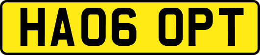 HA06OPT