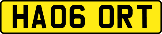 HA06ORT