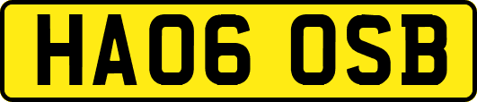 HA06OSB