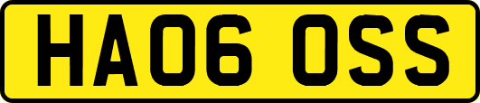 HA06OSS