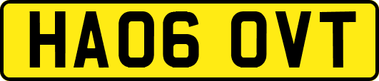 HA06OVT