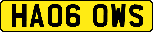 HA06OWS