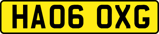 HA06OXG