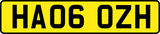 HA06OZH