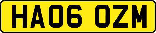 HA06OZM