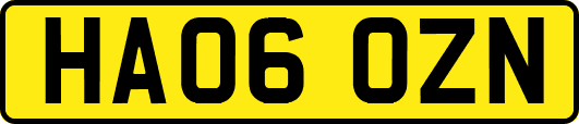 HA06OZN