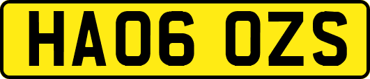 HA06OZS